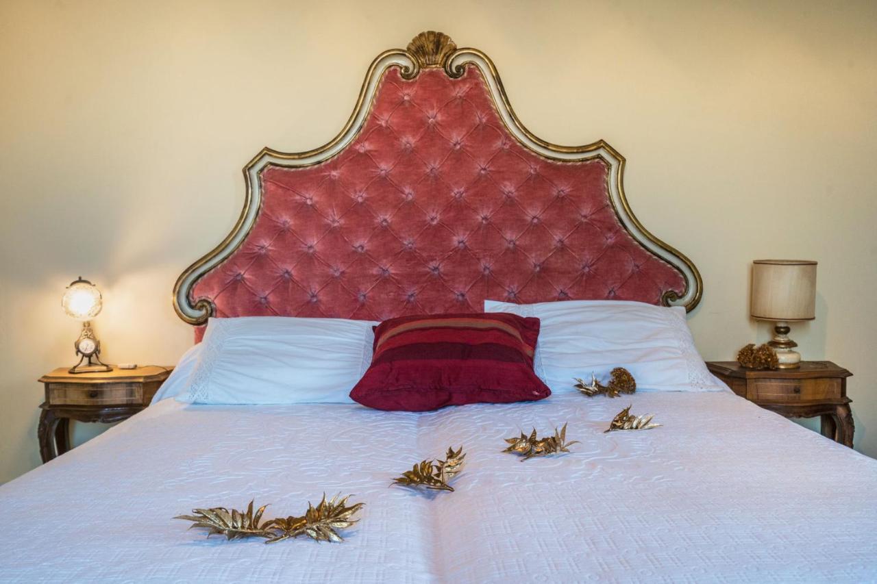 Villa Ines Charme Near Lucca アルトパーショ エクステリア 写真