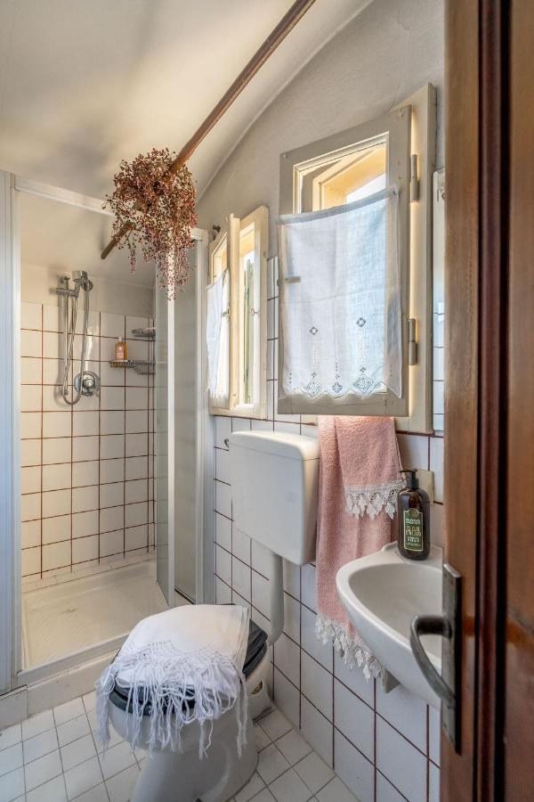 Villa Ines Charme Near Lucca アルトパーショ エクステリア 写真